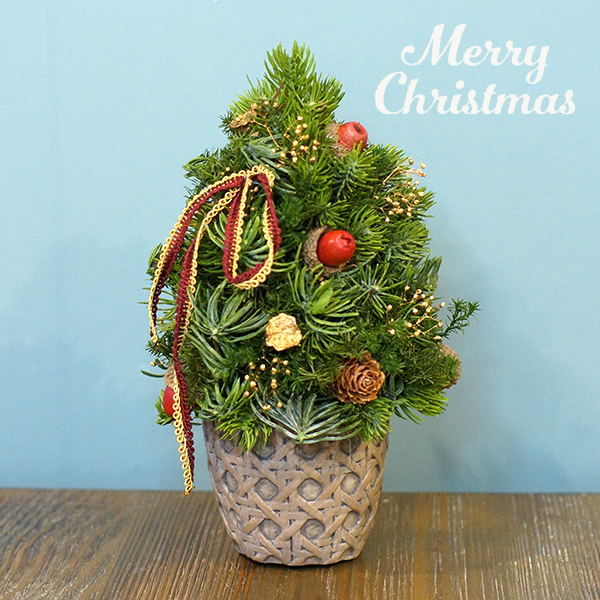 ミニ　クリスマスツリー【niwairo flower designコラボ】